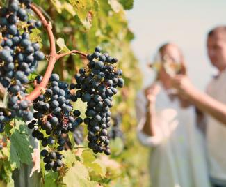 ducato_wine_experience_03.jpg