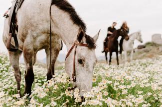 ducato_wine_horse_riding_05.jpg